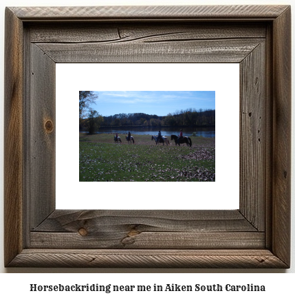 horseback riding near me in Aiken, South Carolina